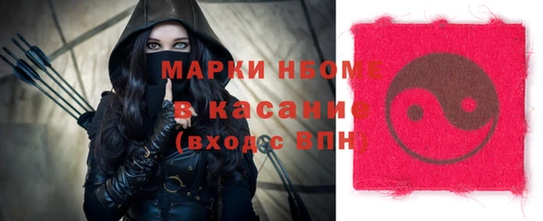 мдпв Инта