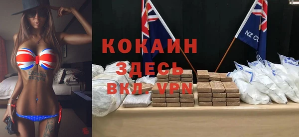 мдпв Инта
