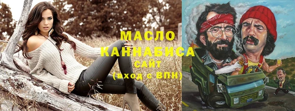 гашик Инсар