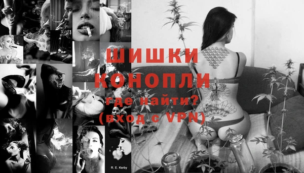 мдпв Инта