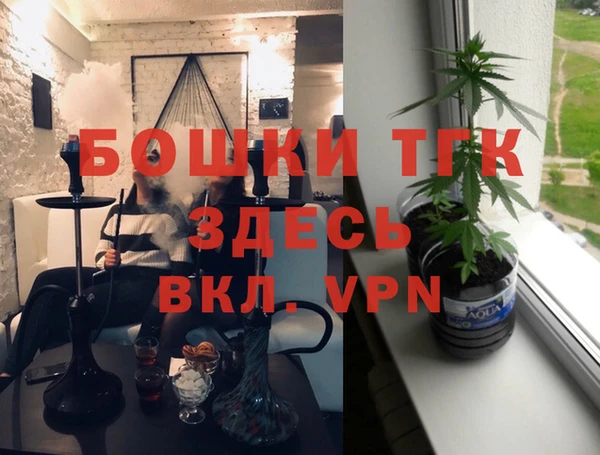 гашик Инсар