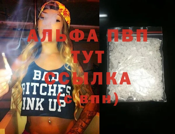 мдпв Инта