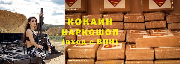гашик Инсар