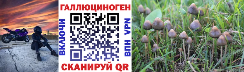 Галлюциногенные грибы MAGIC MUSHROOMS  Билибино 